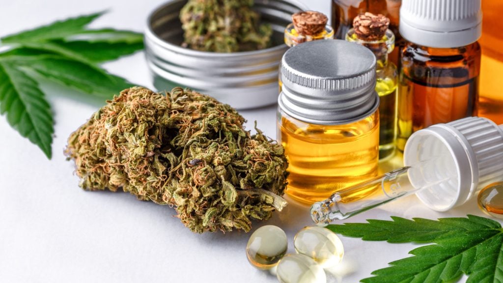 Medical Benefits and Therapeutic Applications of Mango Kush