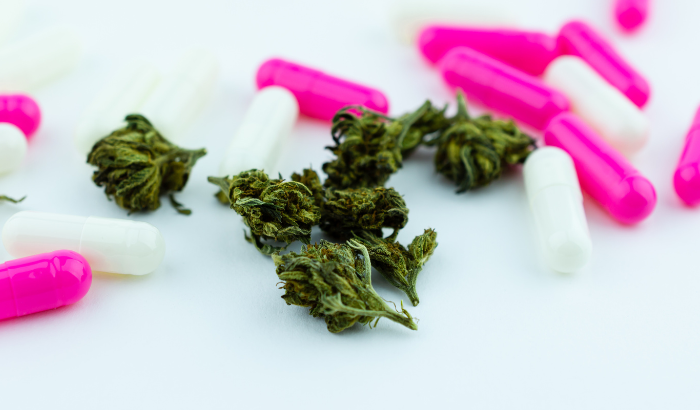 Medical Benefits of Crisp Apple CBD