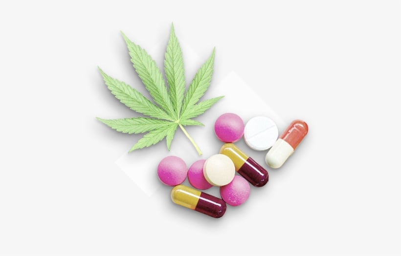 Medical Benefits of Pure CBD