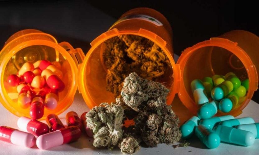 Medical Benefits of Sweet CBD