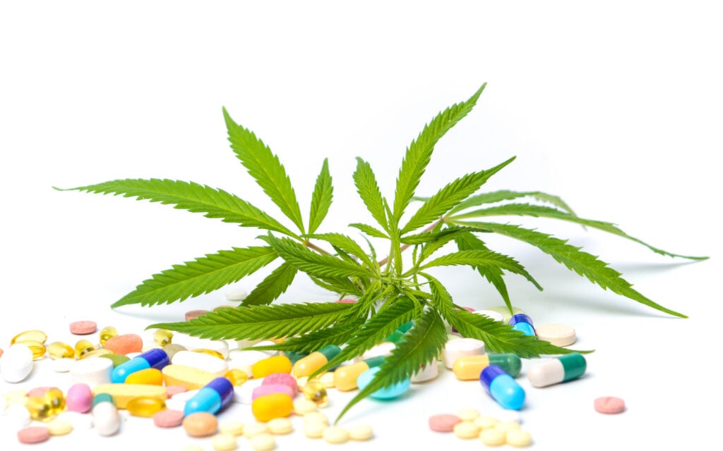 Medical Benefits of White Walker CBD
