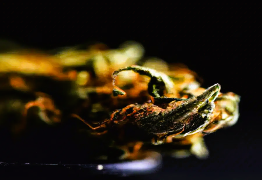 Medical Strain Analysis Canna Tsu 2
