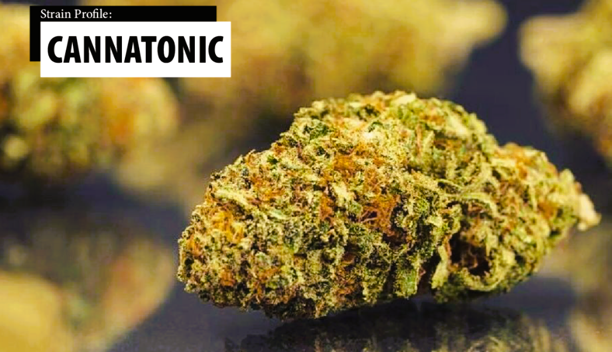 Medical Strain Analysis Cannatonic