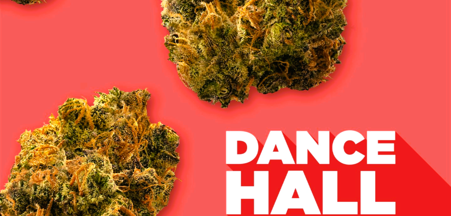 Medical Strain Analysis Dancehall 2