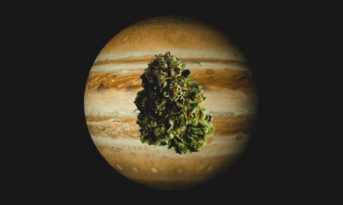 Medical Strain Analysis Jupiter