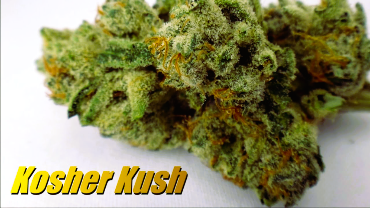 Medical Strain Analysis Kosher Kush