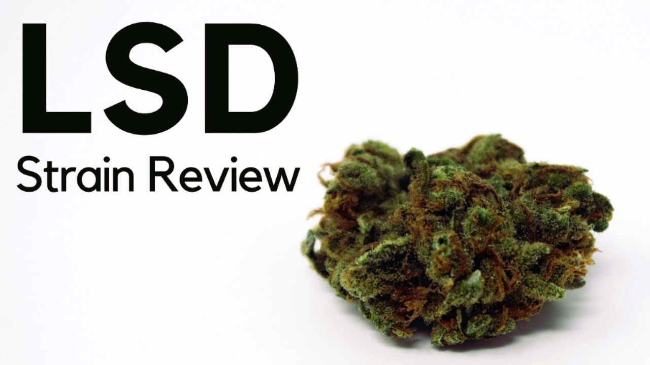 Medical Strain Analysis LSD