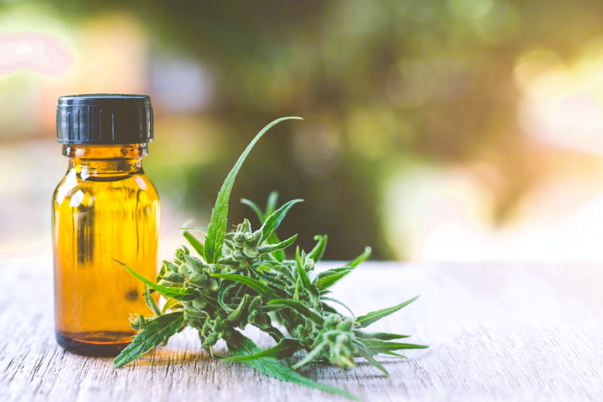 Medical Strain Analysis Perkins CBD