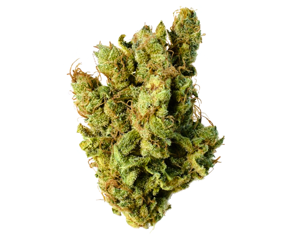 Medical Strain Analysis Silver Haze CBD