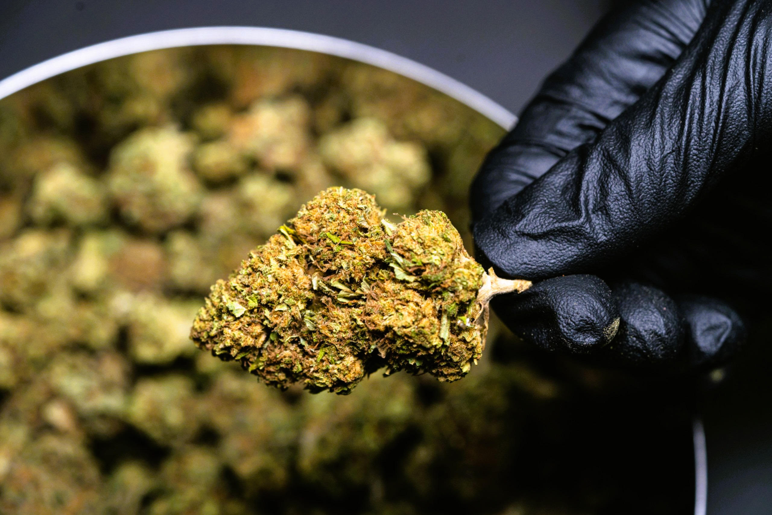 Medical Strain Analysis Sunset CBD