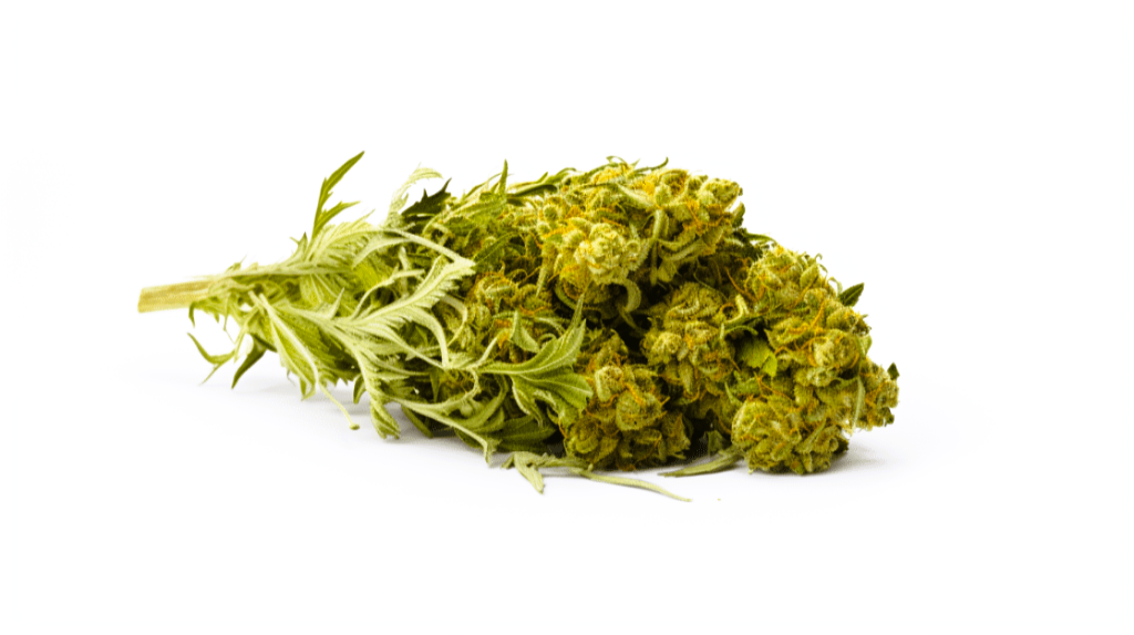 Medical Strain Analysis The Wife