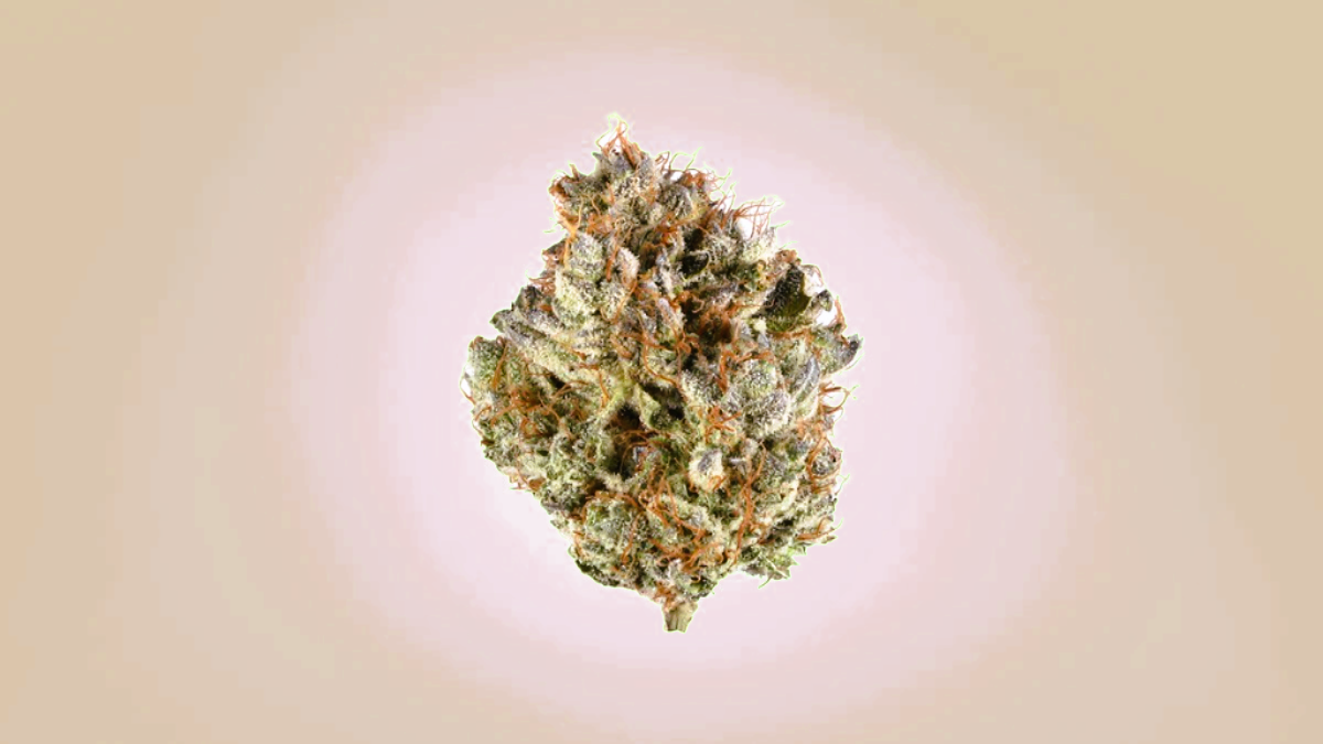 Medical Strain Analysis Umpqua