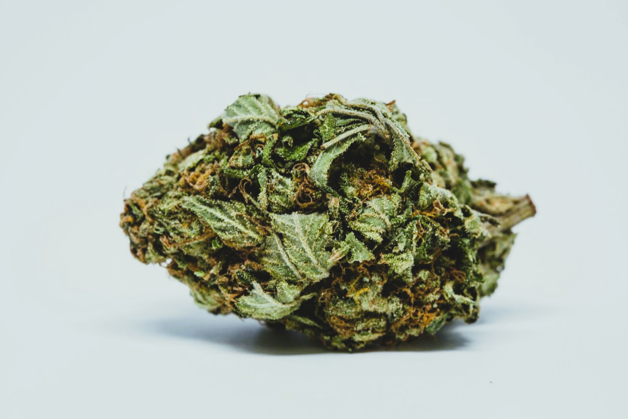 Medical Strain Analysis White Walker CBD