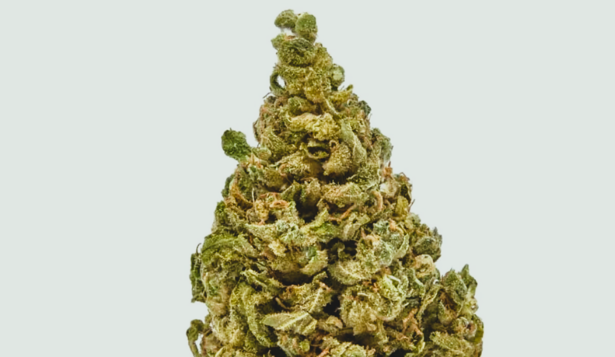 Medical Strain Analysis White Whale