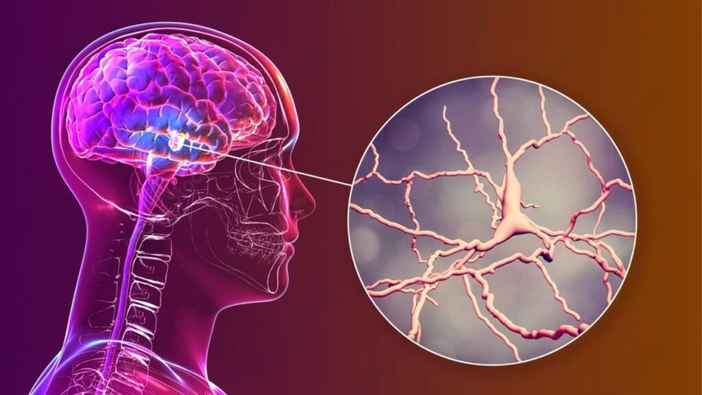 Neuroprotective Properties for Neurodegenerative Diseases