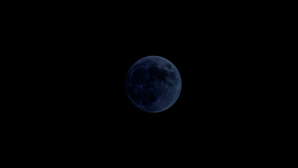 New Moon Focusing on Root Development