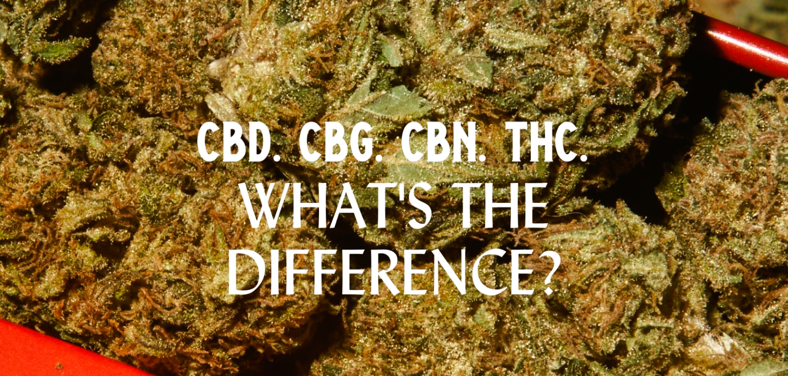 Rare CBN CBG vs Major THC CBD