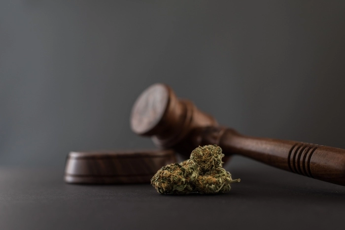 Restrictions Using CBD OG in the Medical Field and Ensuring THC Monitoring