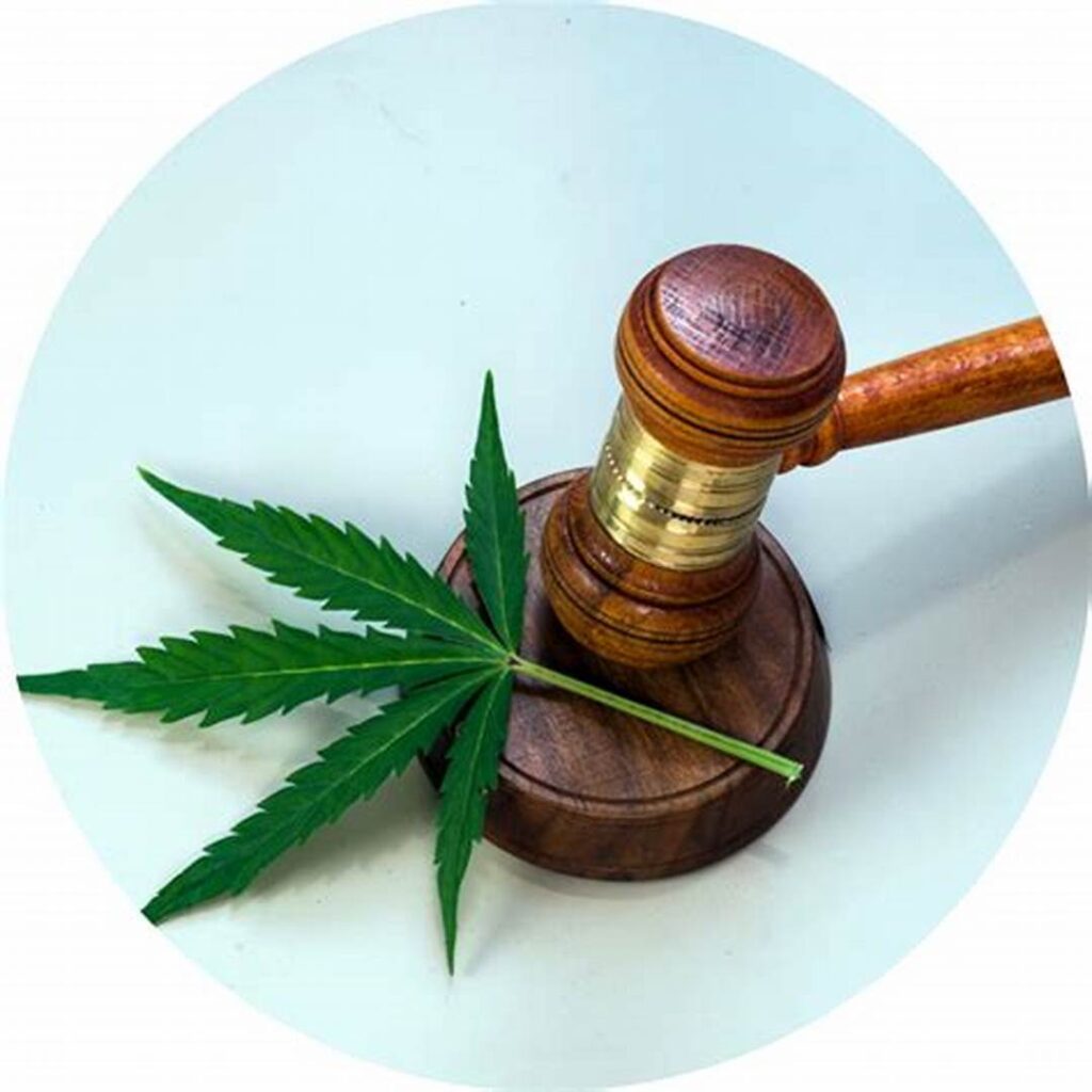 Restrictions on Cannabis Components in the Medical Field Ensuring Safety and Efficacy