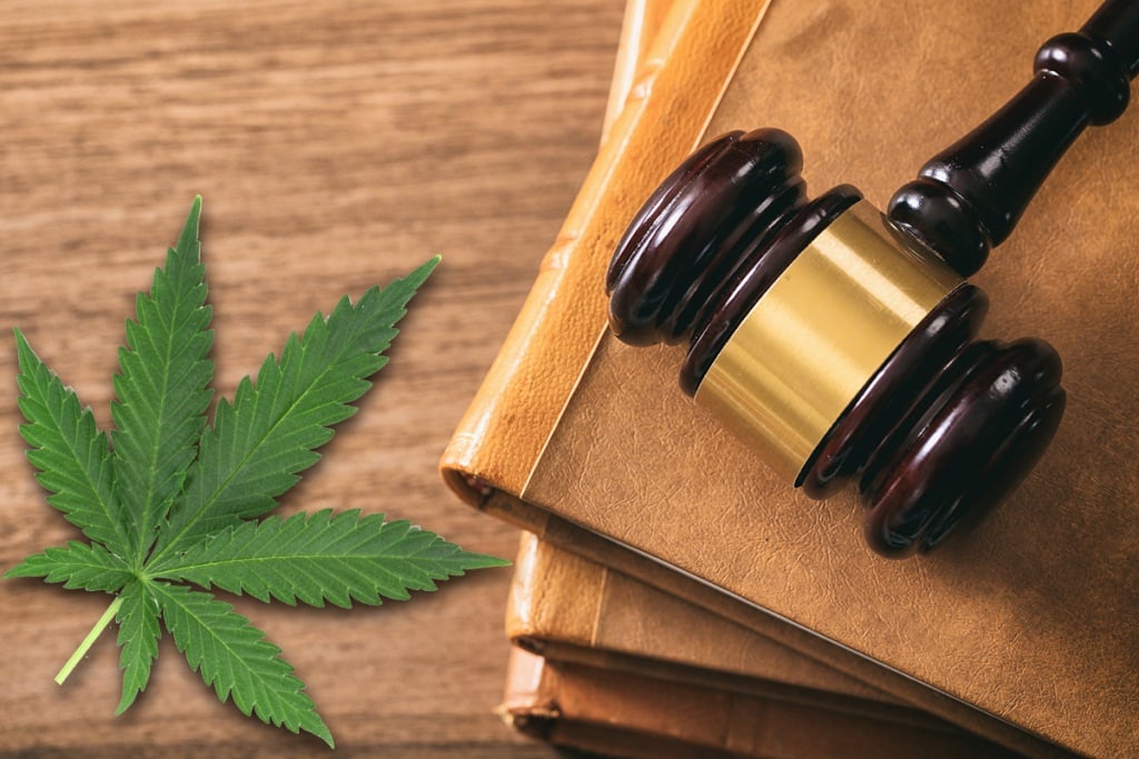 Restrictions on Growing and Using Cannabis in the Medical Field as a Last Resort