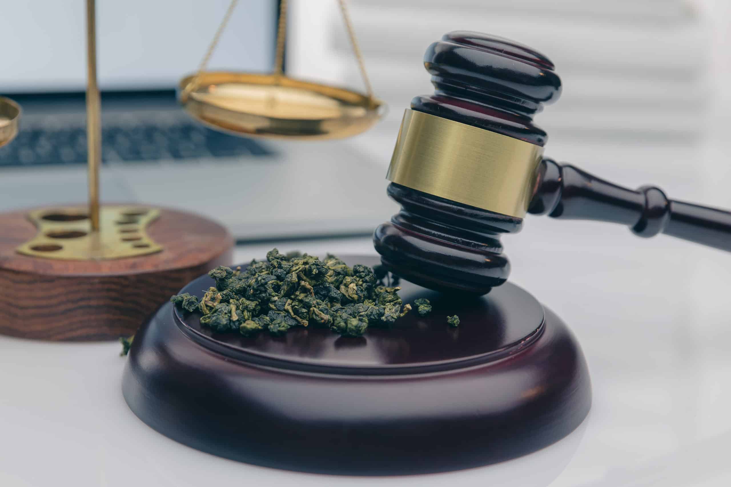 Restrictions on Using CBD Aloha in the Medical Field and as a Last Resort 1