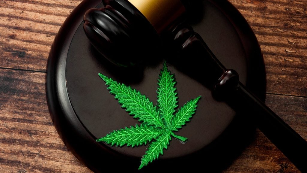 Restrictions on Using Purple Mango in the Medical Field