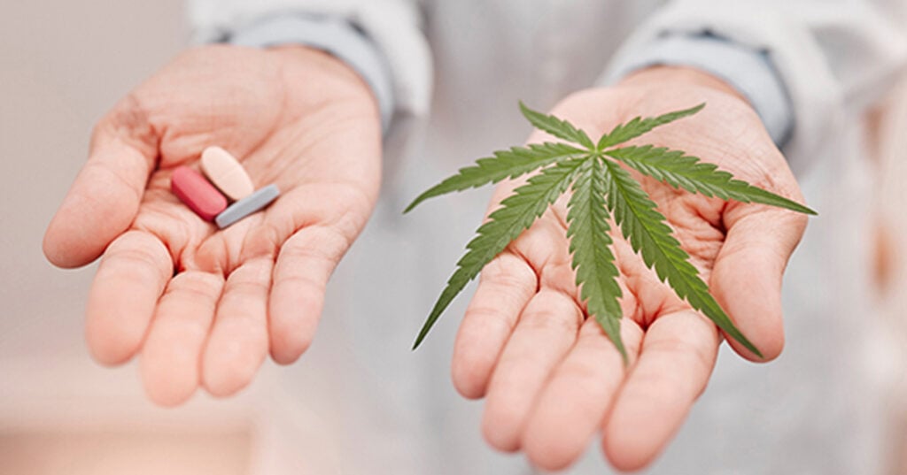 Restrictions on Using Sweet Tsunami in the Medical Field and Monitoring THC Levels in Medication