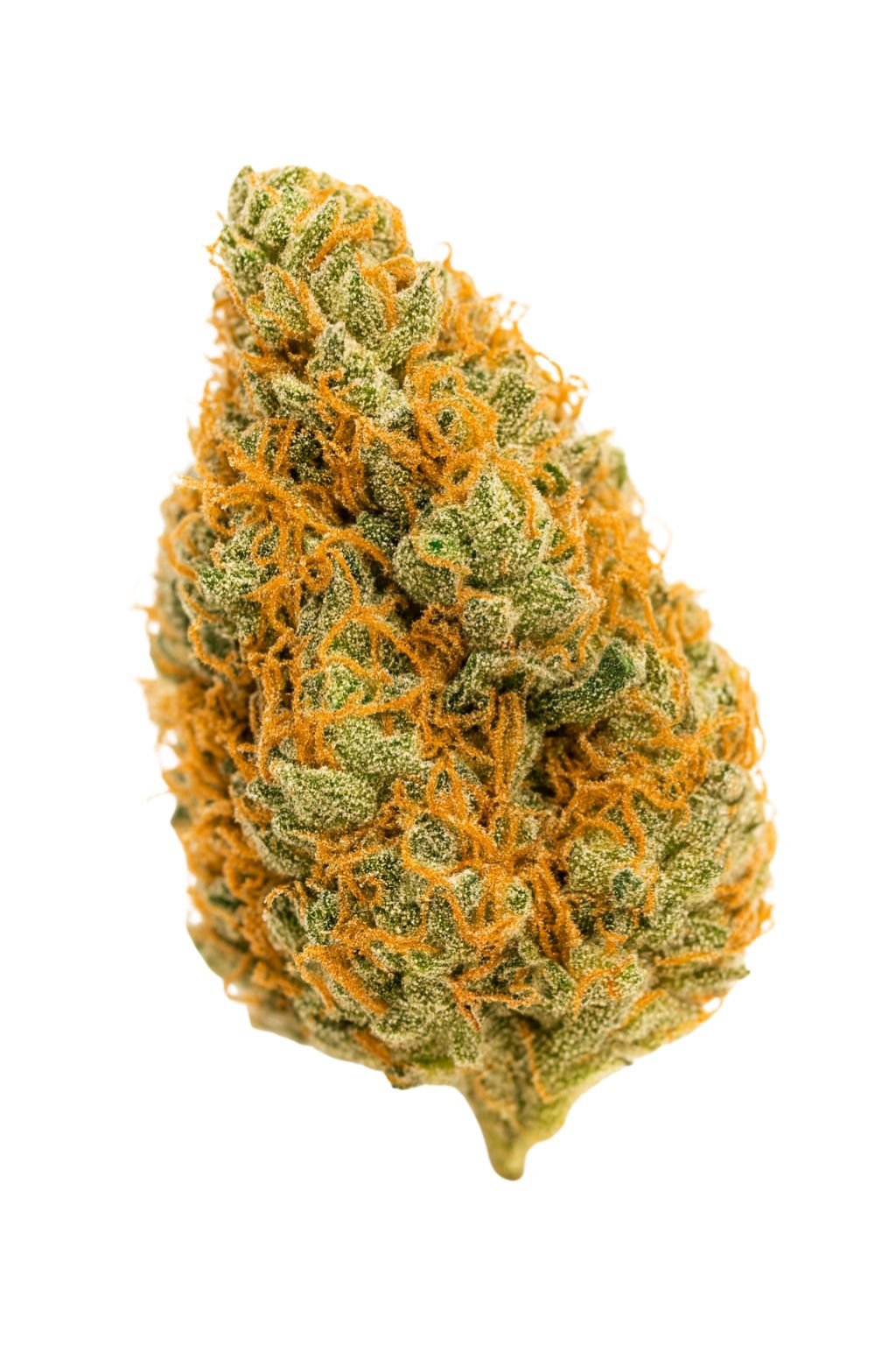 evening relaxation strain