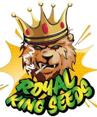 feminized cannabis seeds for sale USA