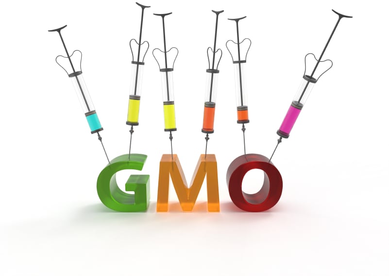 The Advent of GMO Medical Cannabis