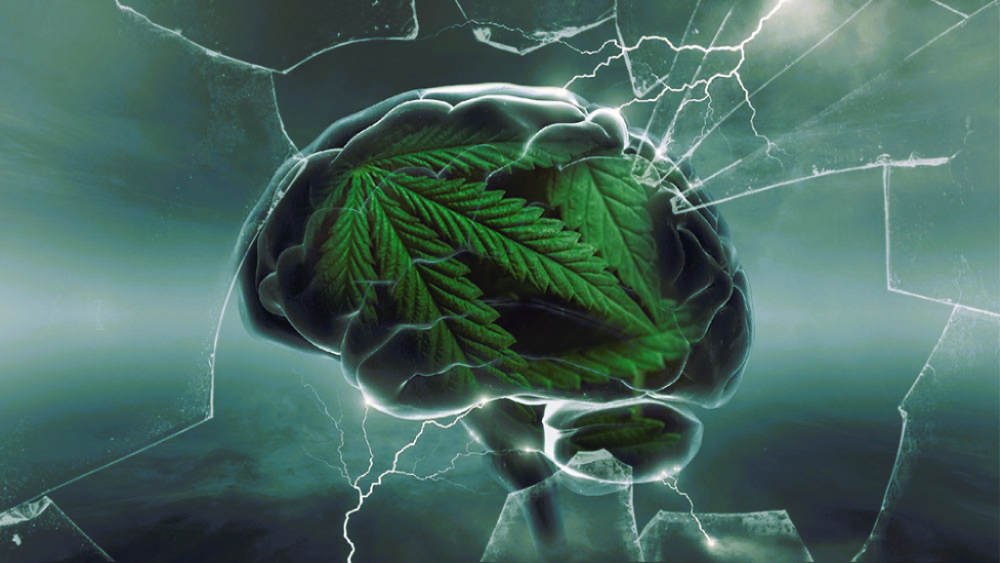 The Emerging Role of Cannabis in Anxiety Treatment
