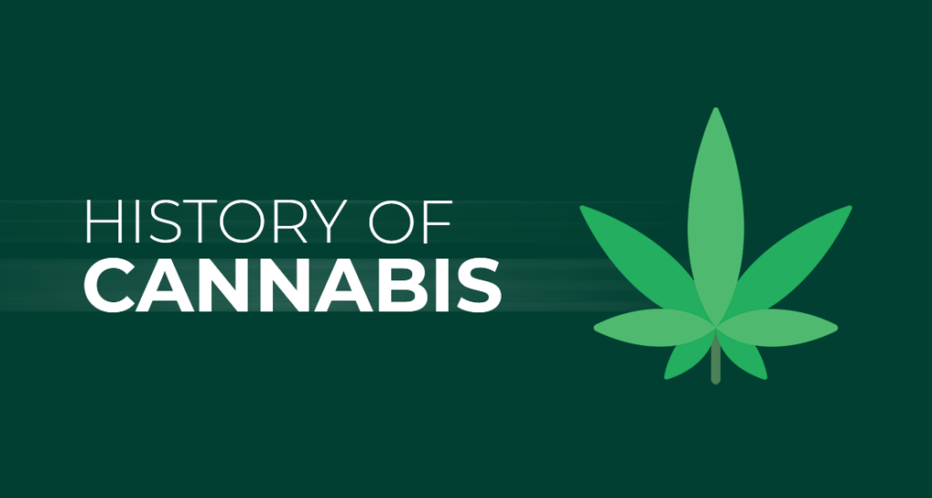Buy Cannabis Seeds in Australia