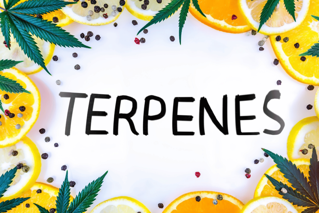 The Major Terpenes in Cannabis Key Players in Therapeutic Efficacy