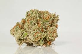 The White strain