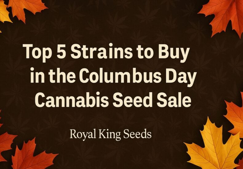 Columbus Day Cannabis Seed Sale