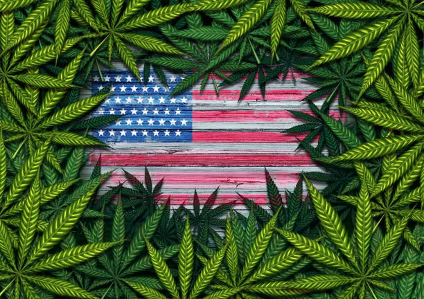 USA Premium