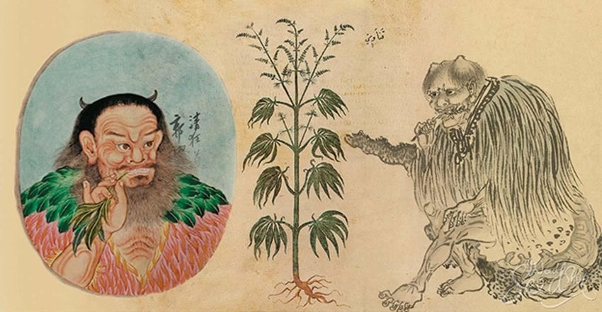 Using cannabis plant for recreational purpose in Ancient China