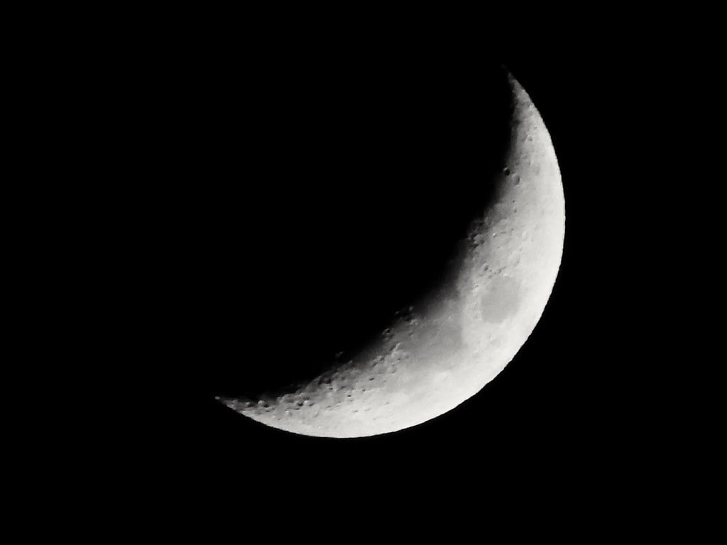 Waxing Moon Boosting Vegetative Growth