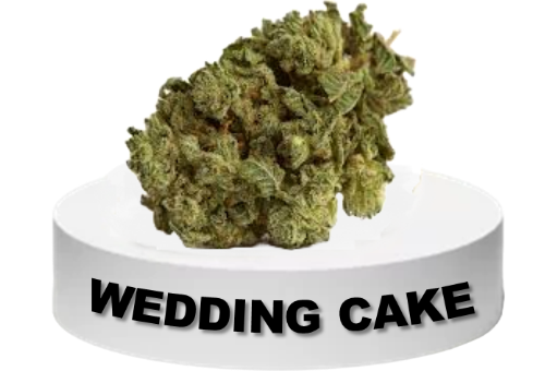 Wedding Cake Flower