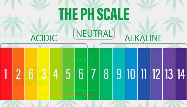 What Exactly Is pH Value IjW3ffHfOBwy1QeQ