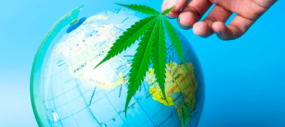 World wide weed