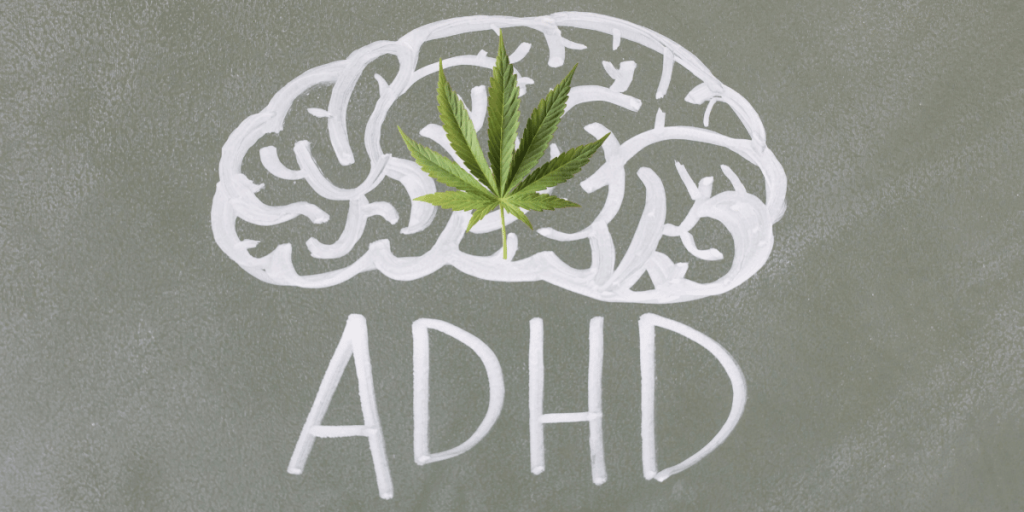 adhd cannabis massachusetts 1 1024x512 1