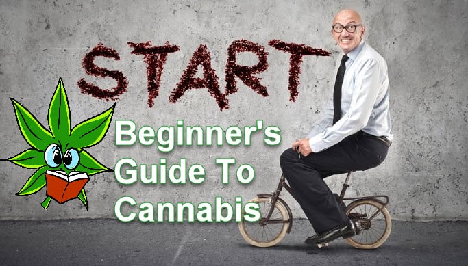 beginnerguide