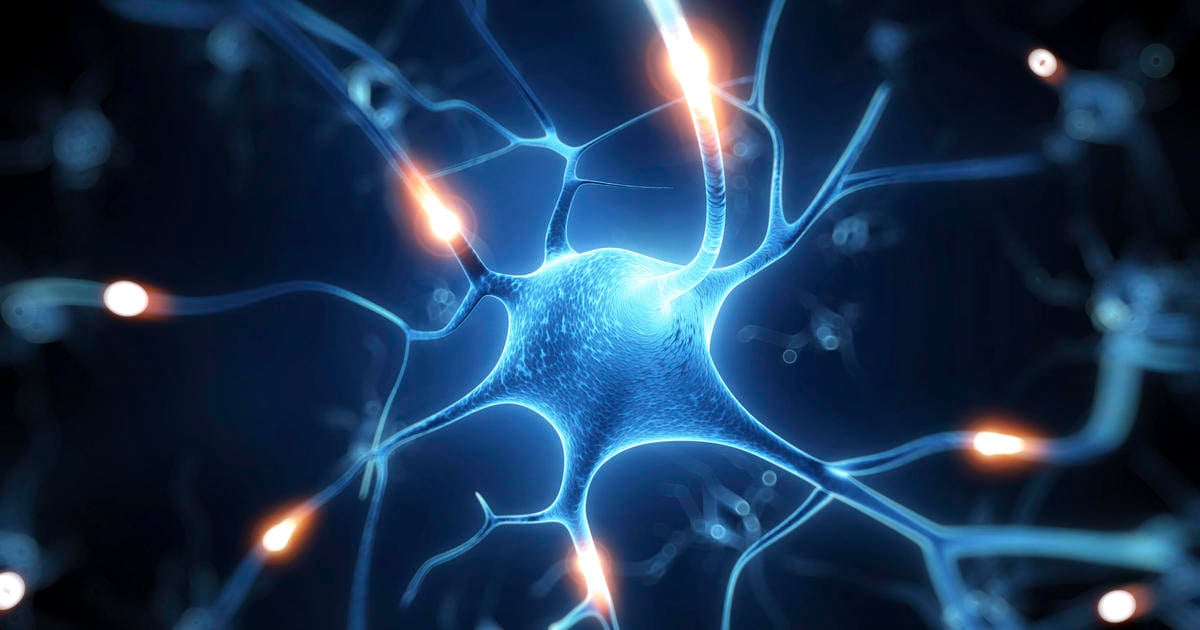 brain cell neuron illustration