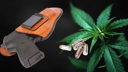 Can you have a medical marijuana card and concealed carry