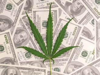 can you have a medical marijuana card and concealed carry c