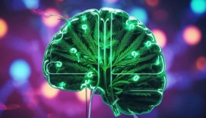 can you have a medical marijuana card and concealed carry d