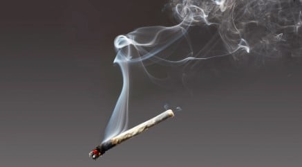 Can You Smoke Marijuana Leaves