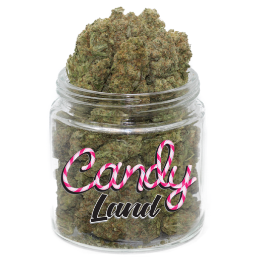 candy land