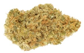 cannabis seeds that thrive in texas heat b